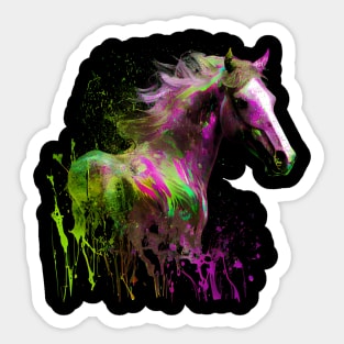 Beautiful Horse Lover Horseback Riding Colorful Sticker